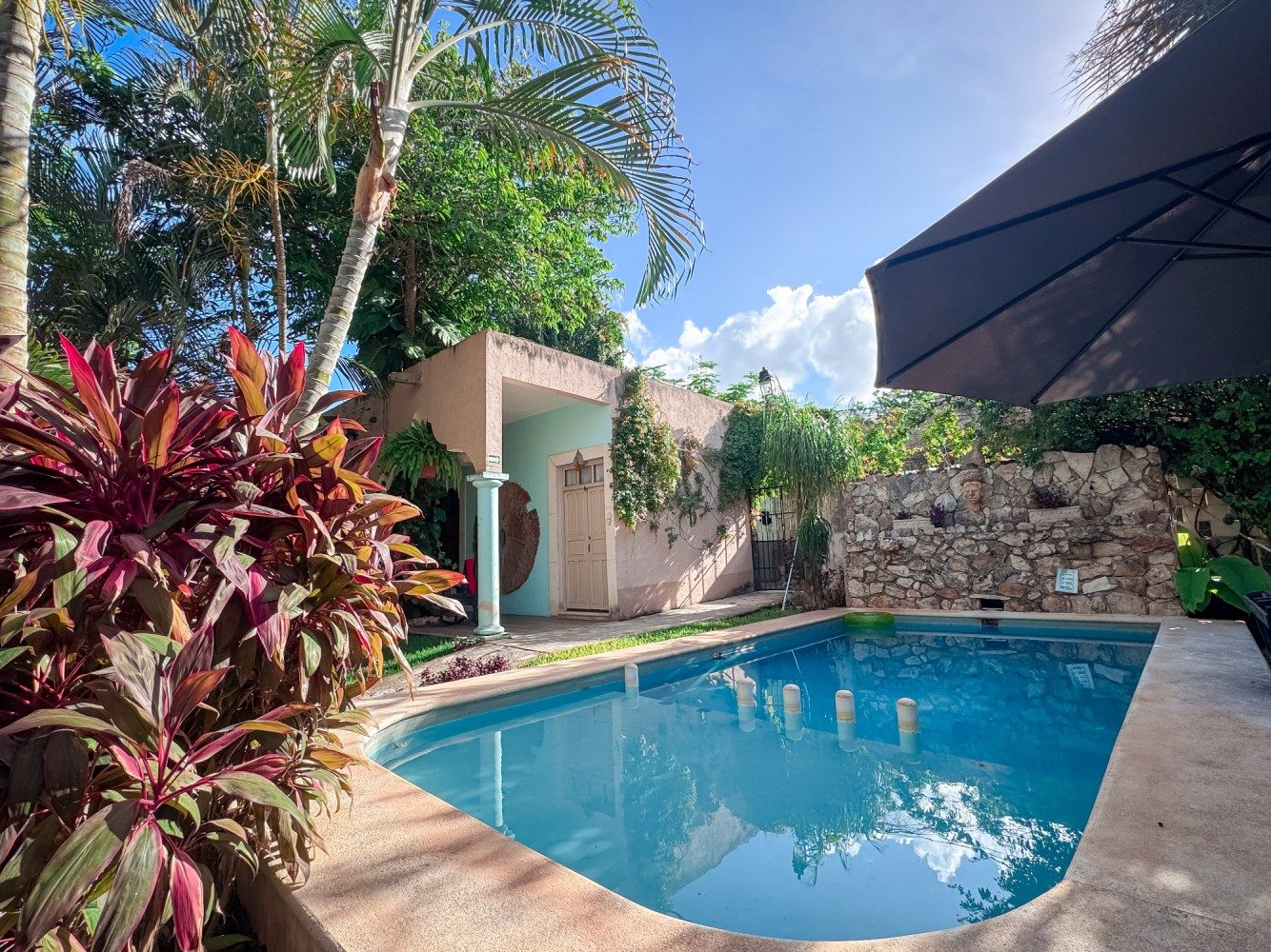 Jardín tropical junto a la alberca